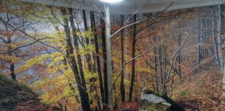 Proiect în desfășurare în Parcul Natural Putna Vrancea, pentru conservarea biodiversității și dezvoltarea unui turism responsabil