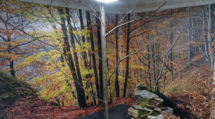 Proiect în desfășurare în Parcul Natural Putna Vrancea, pentru conservarea biodiversității și dezvoltarea unui turism responsabil