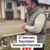 carton pescobar 1