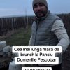 carton pescobar