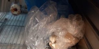 FOTO Amenzi de peste 6,6 milioane de lei aplicate de ANPC, în doar 5 zile