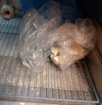 FOTO Amenzi de peste 6,6 milioane de lei aplicate de ANPC, în doar 5 zile