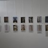 expozitie roma 1