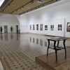 expozitie roma 4