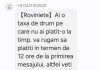 Tentativă de fraudă electronică: mesaje trimise în numele ”Rovinietei”