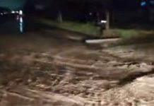 ULTIMA ORĂ VIDEO DN2, inundat în zona Rm. Sărat / Traficul e îngreunat