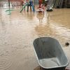 inundatii curte 1