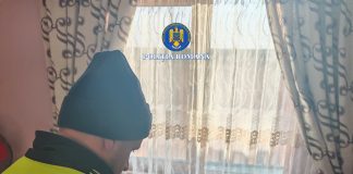 FOTO Percheziții la hoții de lemne