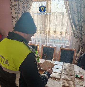 FOTO Percheziții la hoții de lemne