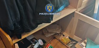 Recoltă bogată în urma controalelor de ieri în sectorul silvic: confiscări de lemne, cartușe și articole pirotehnice, amenzi și dosare penale