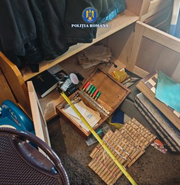 Recoltă bogată în urma controalelor de ieri în sectorul silvic: confiscări de lemne, cartușe și articole pirotehnice, amenzi și dosare penale