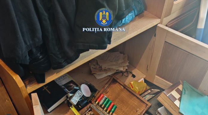 Recoltă bogată în urma controalelor de ieri în sectorul silvic: confiscări de lemne, cartușe și articole pirotehnice, amenzi și dosare penale