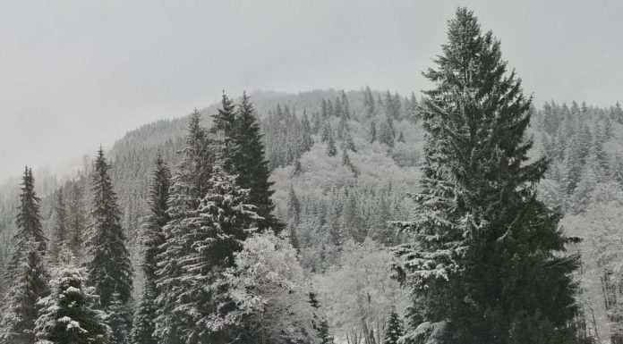 Meteo: iarna mai face o încercare