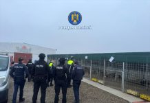 ULTIMA ORĂ FOTO Percheziții în dosarul de ucidere și schingiuire a animalelor / Este vizat adăpostul privat de câini de la Suraia