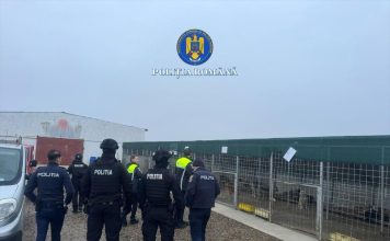 Cazul ”lagărului” de câini de la Suraia pune la muncă autoritățile