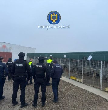 ULTIMA ORĂ FOTO Percheziții în dosarul de ucidere și schingiuire a animalelor / Este vizat adăpostul privat de câini de la Suraia