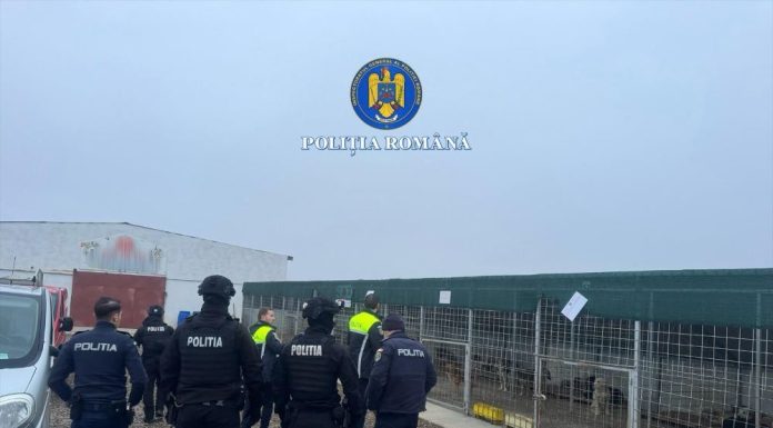 ULTIMA ORĂ FOTO Percheziții în dosarul de ucidere și schingiuire a animalelor / Este vizat adăpostul privat de câini de la Suraia