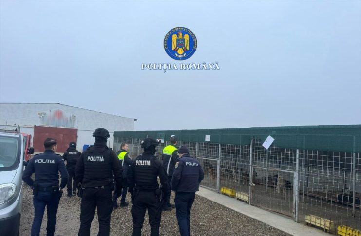 ULTIMA ORĂ FOTO Percheziții în dosarul de ucidere și schingiuire a animalelor / Este vizat adăpostul privat de câini de la Suraia