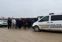 Precizările DSVSA Vrancea după controlul de la padocul privat din Suraia