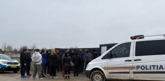 Precizările DSVSA Vrancea după controlul de la padocul privat din Suraia