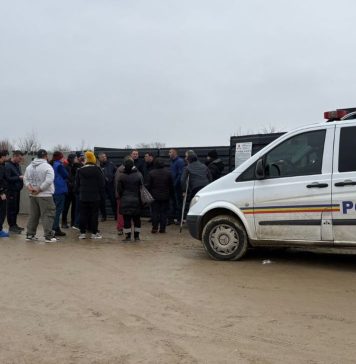 Precizările DSVSA Vrancea după controlul de la padocul privat din Suraia