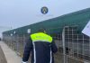 Poliția vine cu noi precizări privind cazul de ucidere și schingiure a animalelor de la padocul privat din Suraia