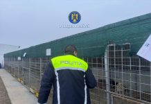 Poliția vine cu noi precizări privind cazul de ucidere și schingiure a animalelor de la padocul privat din Suraia