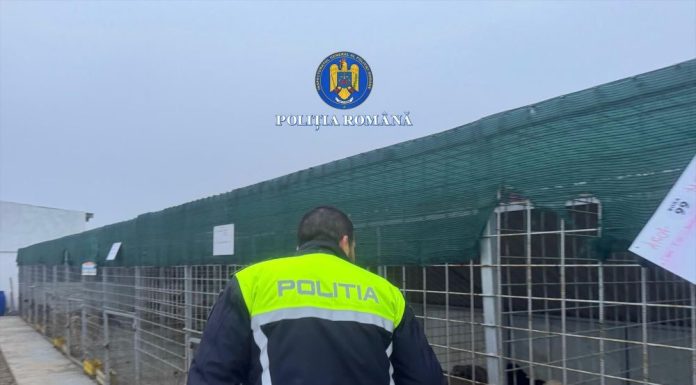 Poliția vine cu noi precizări privind cazul de ucidere și schingiure a animalelor de la padocul privat din Suraia