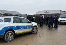 Control judiciar în cazul de ucidere și schingiure a câinilor de la padocul privat din Suraia