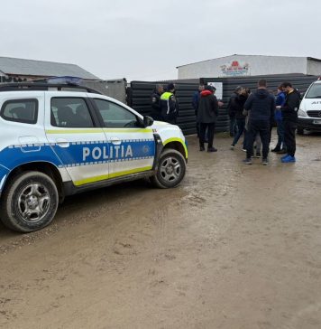 Control judiciar în cazul de ucidere și schingiure a câinilor de la padocul privat din Suraia