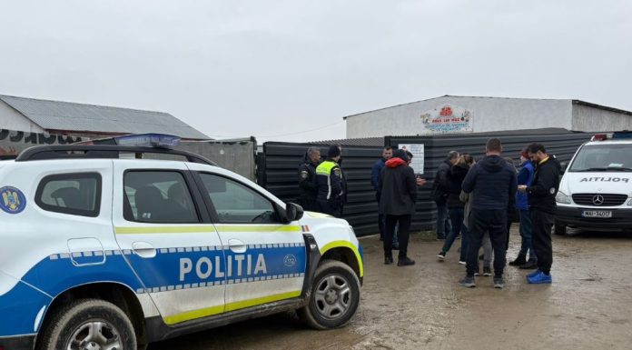 Control judiciar în cazul de ucidere și schingiure a câinilor de la padocul privat din Suraia