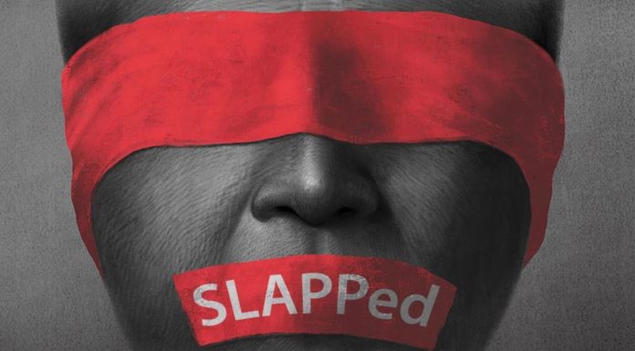 Alertă europeană de hărțuire în justiție pentru jurnalista Brîndușa Armanca și PRESSHUB