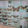proiect parc putna 2