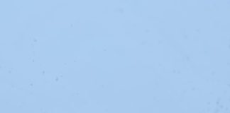 Utilaj răsturnat între Focșani și Bolotești