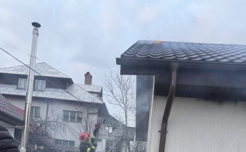 Mobilizare de forțe pentru stingerea incendiului de la Tulnici
