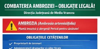 Direcția de Mediu: Atenție la ambrozie! / Se pot da amenzi