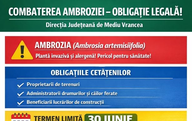Direcția de Mediu: Atenție la ambrozie! / Se pot da amenzi