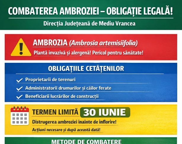 Direcția de Mediu: Atenție la ambrozie! / Se pot da amenzi