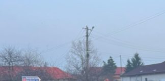 Accident pe E85, la Urechești