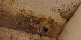 FOTO Protecția Consumatorilor, controale în sectorul alimentar: amenzi de peste 5,81 milioane lei, confiscare de produse alimentare, zeci de suspendări de activitate