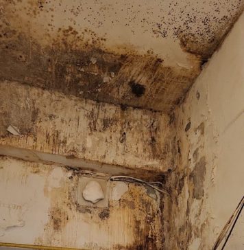 FOTO Protecția Consumatorilor, controale în sectorul alimentar: amenzi de peste 5,81 milioane lei, confiscare de produse alimentare, zeci de suspendări de activitate