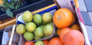 FOTO Controale ANPC în ultima săptămână: amenzi de 6,7 milioane lei și opriri de activități economice