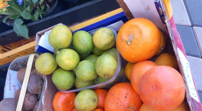 FOTO Controale ANPC în ultima săptămână: amenzi de 6,7 milioane lei și opriri de activități economice