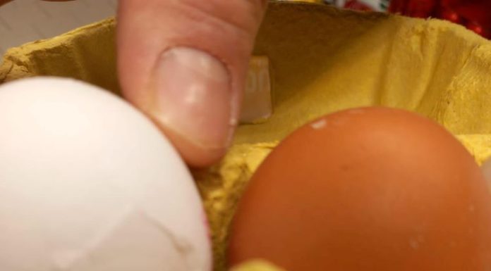 FOTO Protecția Consumatorilor, la comercianții de alimente și operatorii din alimentația publică