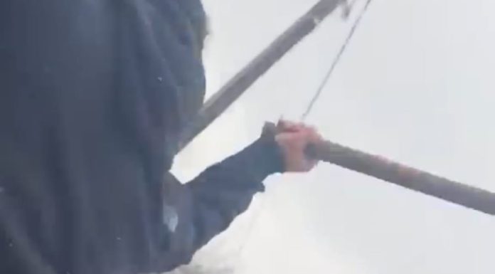 Patru din bătăușii de duminică, plasați în arest la domiciliu