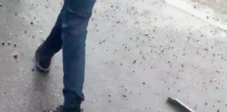 Ce spune Poliția despre bătaia cu bâte de astăzi