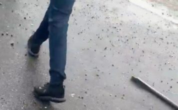 Ce spune Poliția despre bătaia cu bâte de astăzi