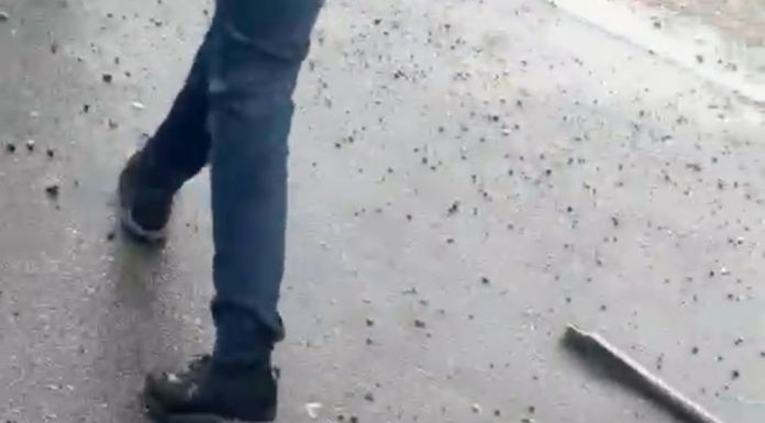 Polițist rănit în timpul unei intervenții / Mai mulți indivizi se luaseră la bătaie