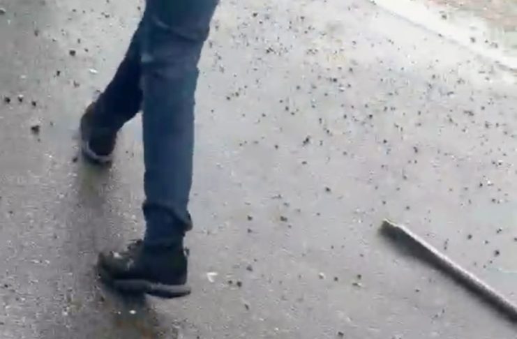 Ce spune Poliția despre bătaia cu bâte de astăzi