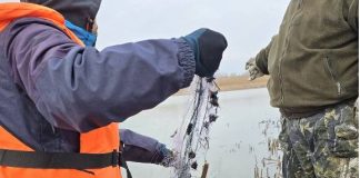 FOTO Lovitură pentru braconieri la Barajul Călimănești: zeci de plase ilegale distruse într-o acțiune de amploare